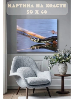 Картина на стену 40 X 50 Змея