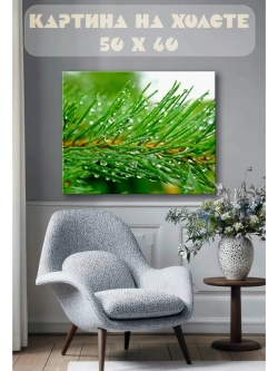 Картина на стену 40 X 50 Хвойная ветка