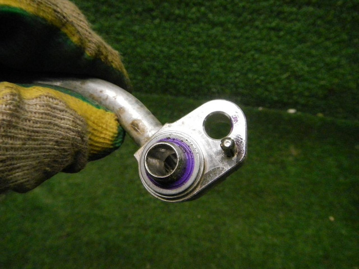 DSCN4985.JPG