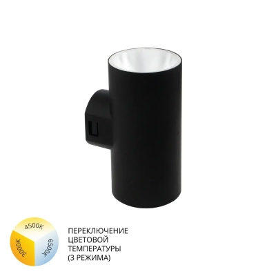 Фасадный светильник Arte Lamp ALCYONE A6109AL-2BK, 2хLED