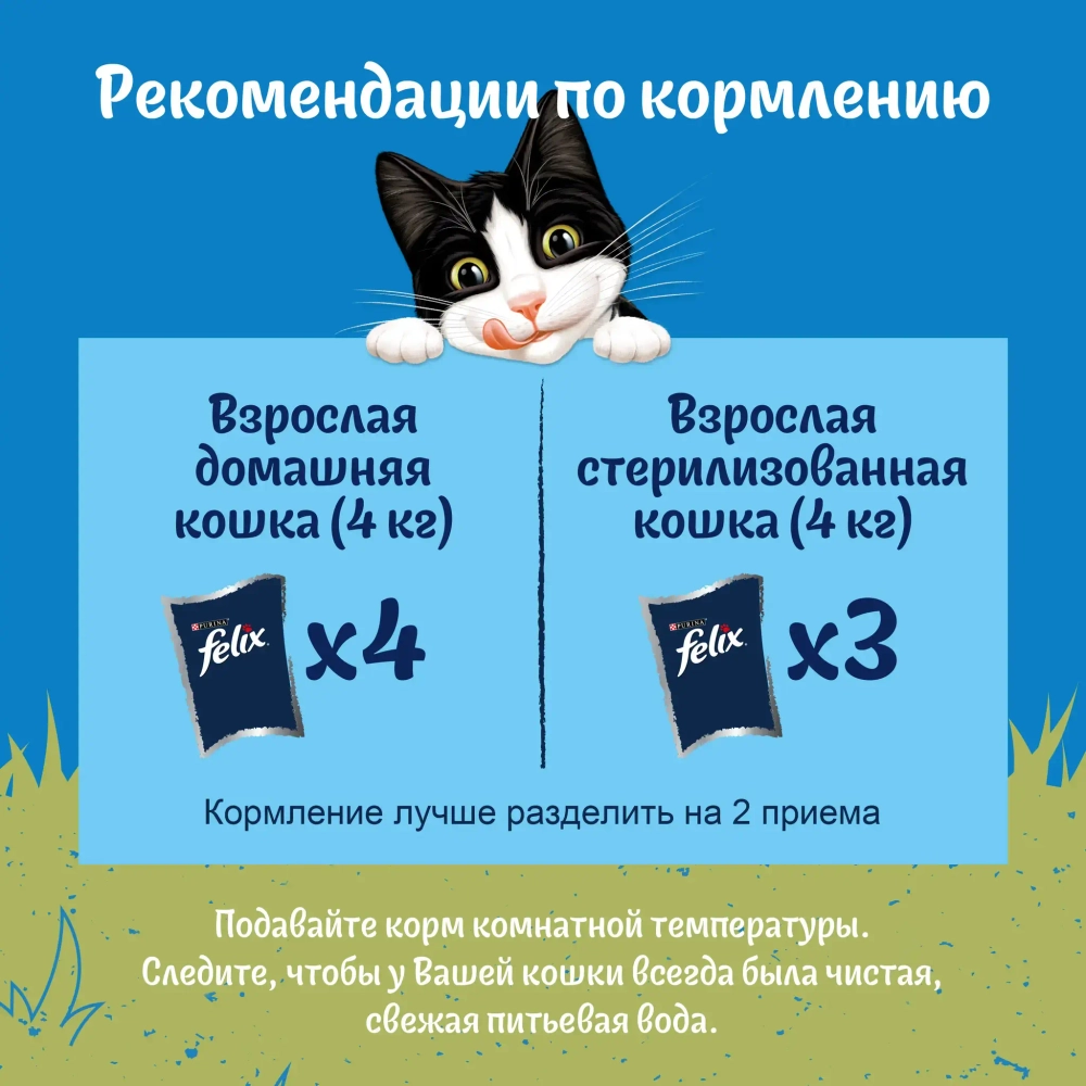 Курица в соусе природа вкуса жидкий корм для взрослых кошек Felix 85г