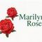 Marilyn Roses