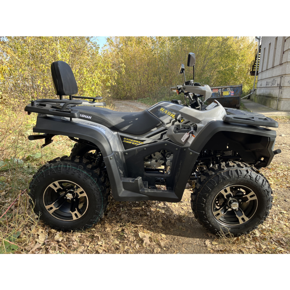 Квадроцикл BASHAN EXPLORER 300 EFI 4x2