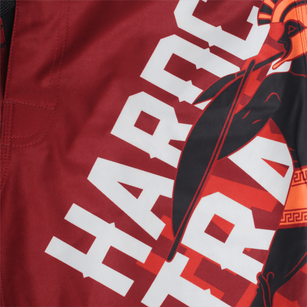 Шорты Hardcore Training Sparta Red