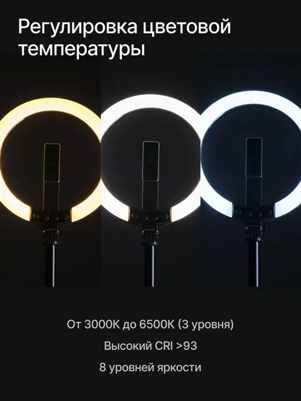 Светодиодный осветитель Raylab RL-0210 кольцевой аккумуляторный с моноподом для селфи