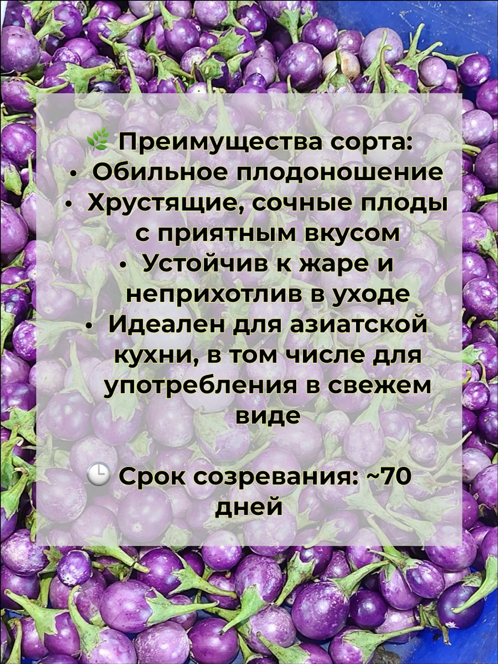 Баклажан тайский хрустящий Ят Дара семена 10 штук