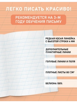 Набор тетрадей "Легко писать красиво!", редкая косая линия, 12 л, 10 шт (плёнка)