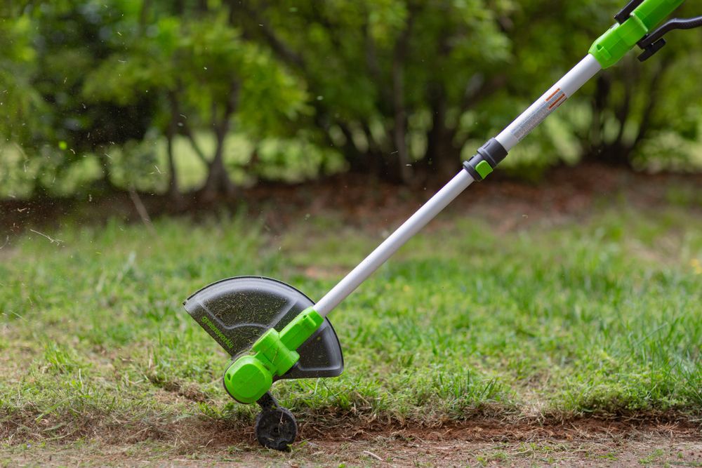 Триммер аккумуляторный Greenworks G24LT301, 24V, 30 см, с 1хАКБ 2А и ЗУ (2113207UA)