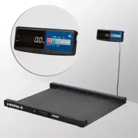 Весы пандусные низкопрофильные 4D-LM-10/10-1000-A(RUEW)