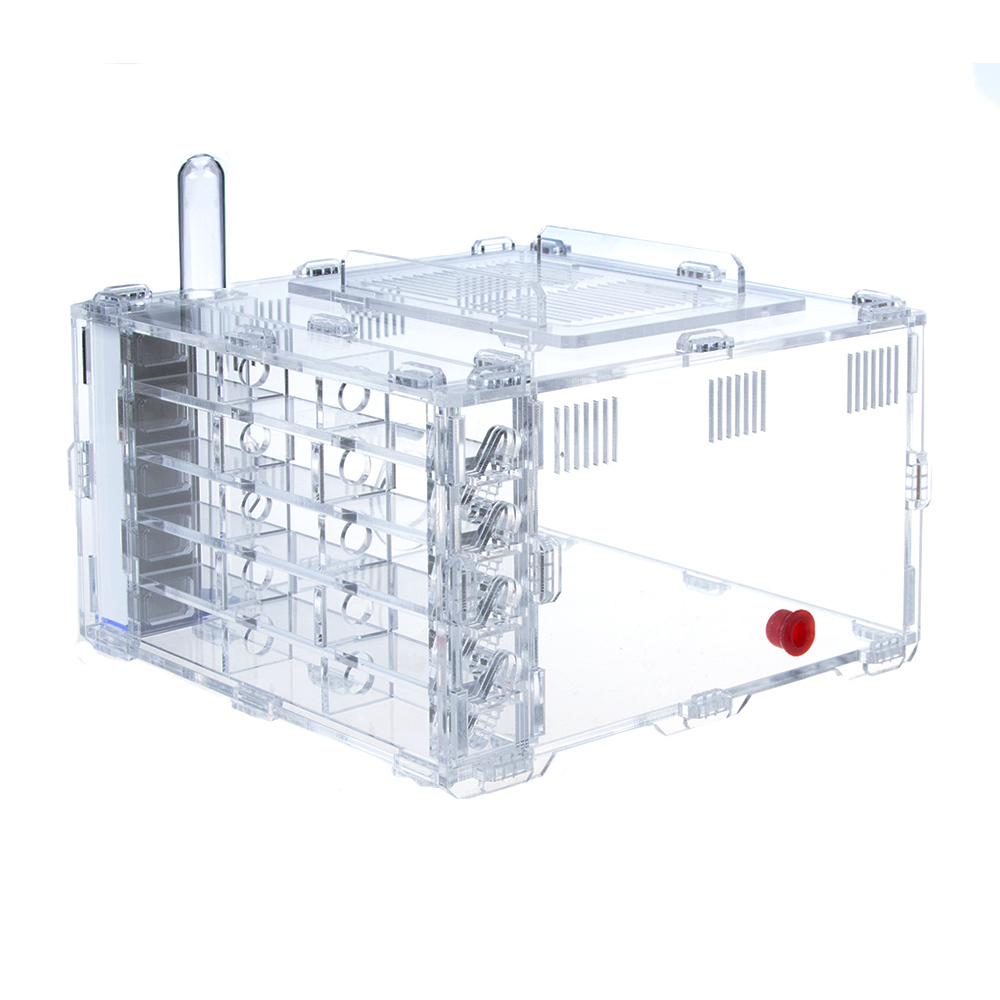 Crystal 3.0