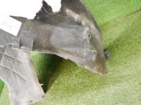 DSCN8201.jpg