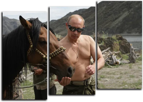 Модульная картина "Владимир Путин"