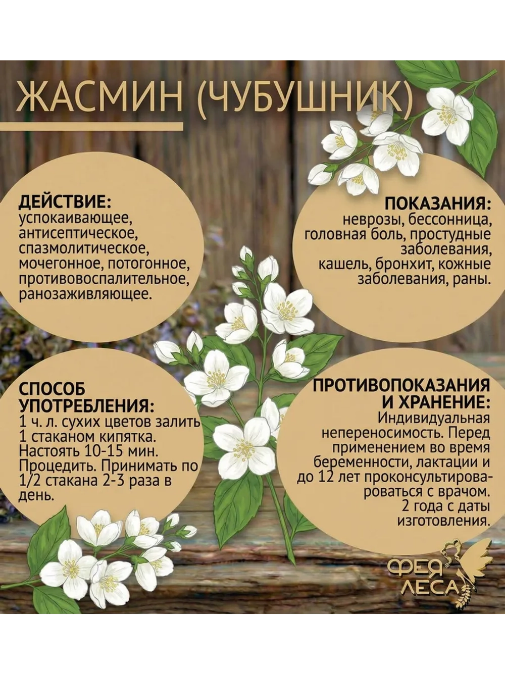 Жасмин побеги цветы с листом для свечей