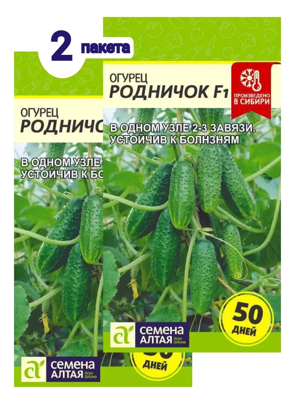 Семена Огурец Родничок F1