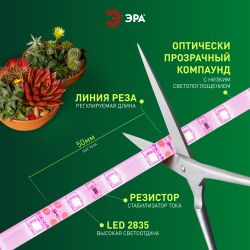 Светодиодная лента для растений ЭРА FITO-Strip Light-RB-45W-5m-12V-IP65 красно-синего спектра 5м IP65 с адаптером 12V | Светодиодные ленты для растений