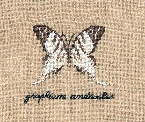 Набор для вышивания нитками Le Bonheur des Dames, Papillon: Graphium (Бабочка Graphium), 5х5,5 см