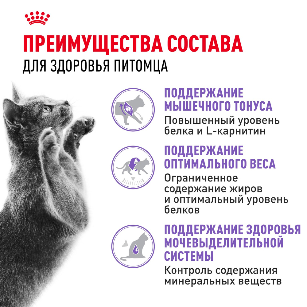 Royal Canin Sterilised 37 Стерилайзд Корм сухой для взрослых стерилизованных кошек в возрасте от 1 года до 7 лет 400г