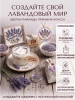 Лаванда Синева (цветки). Творческий материал и сухоцветы