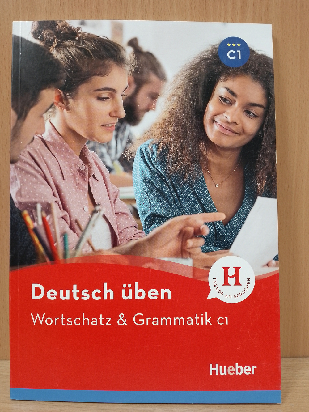 Wortschatz & Grammatik C1 Buch