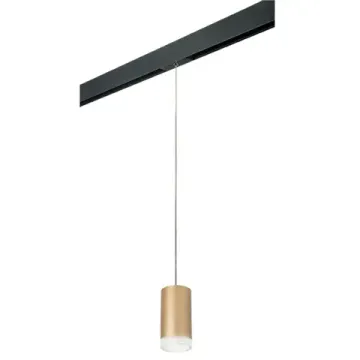 Комплект со светильником 1*GU10 220V PRORP44030 чёрный/золото Rullo Pro Lightstar