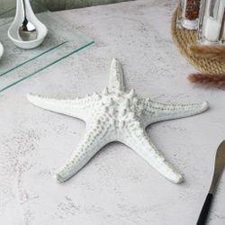 Блюдо для подачи 24 см h6 см для закусок Звезда Gray Starfish Frutti di Mare P.L. [1]