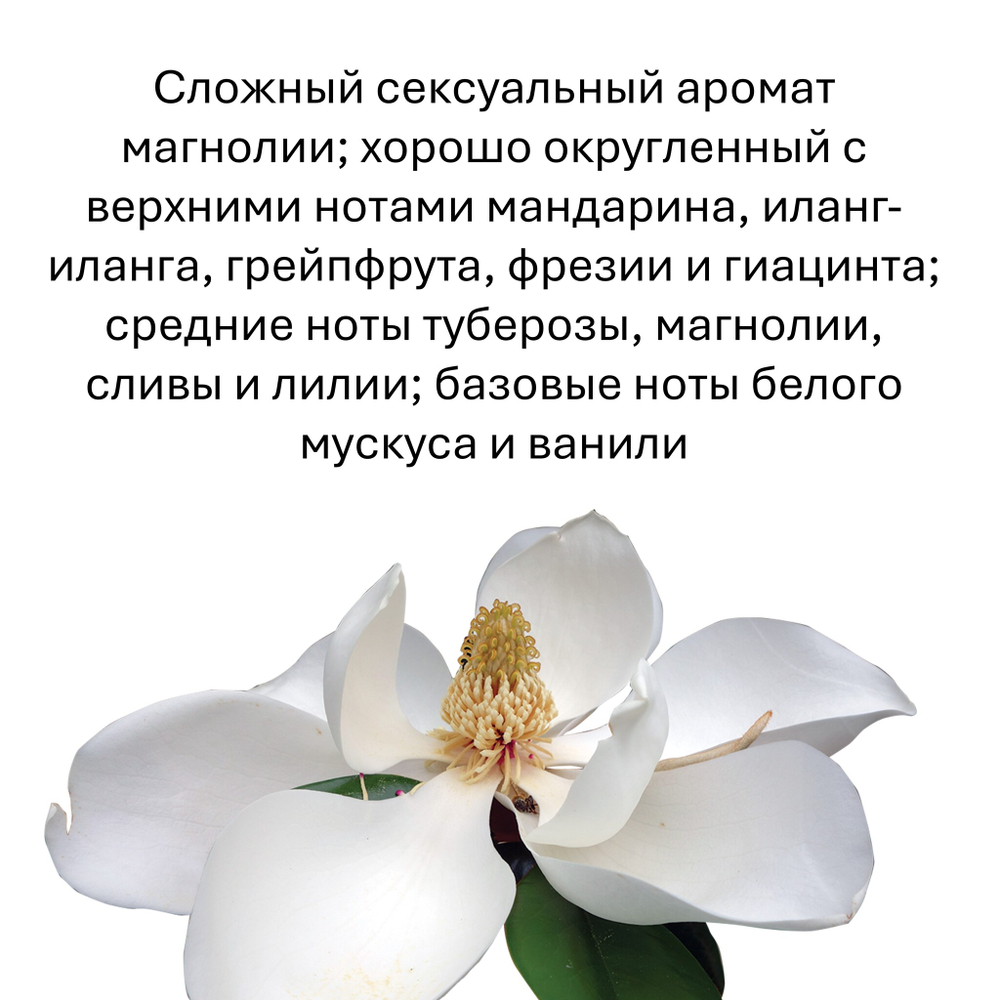 Магнолия, кубики восковые для ароматизации, 10 штук