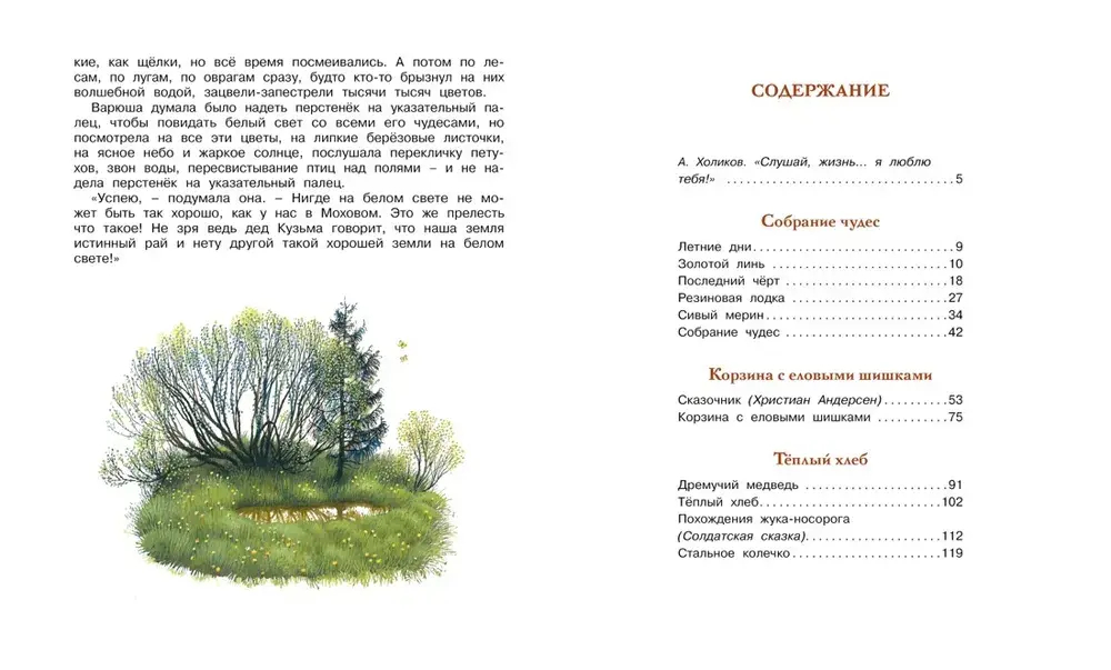 Корзина с еловыми шишками