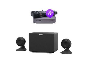 Evolution Evobox Plus Silver - комплект караоке + стереосистема EvoSound Sphere + годовая подписка на обновления