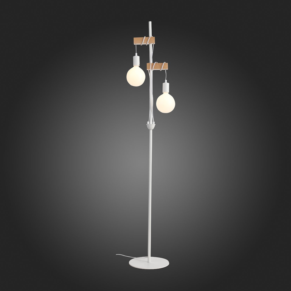 Светильник напольный Evoluce Bagetti SL1142.505.01
