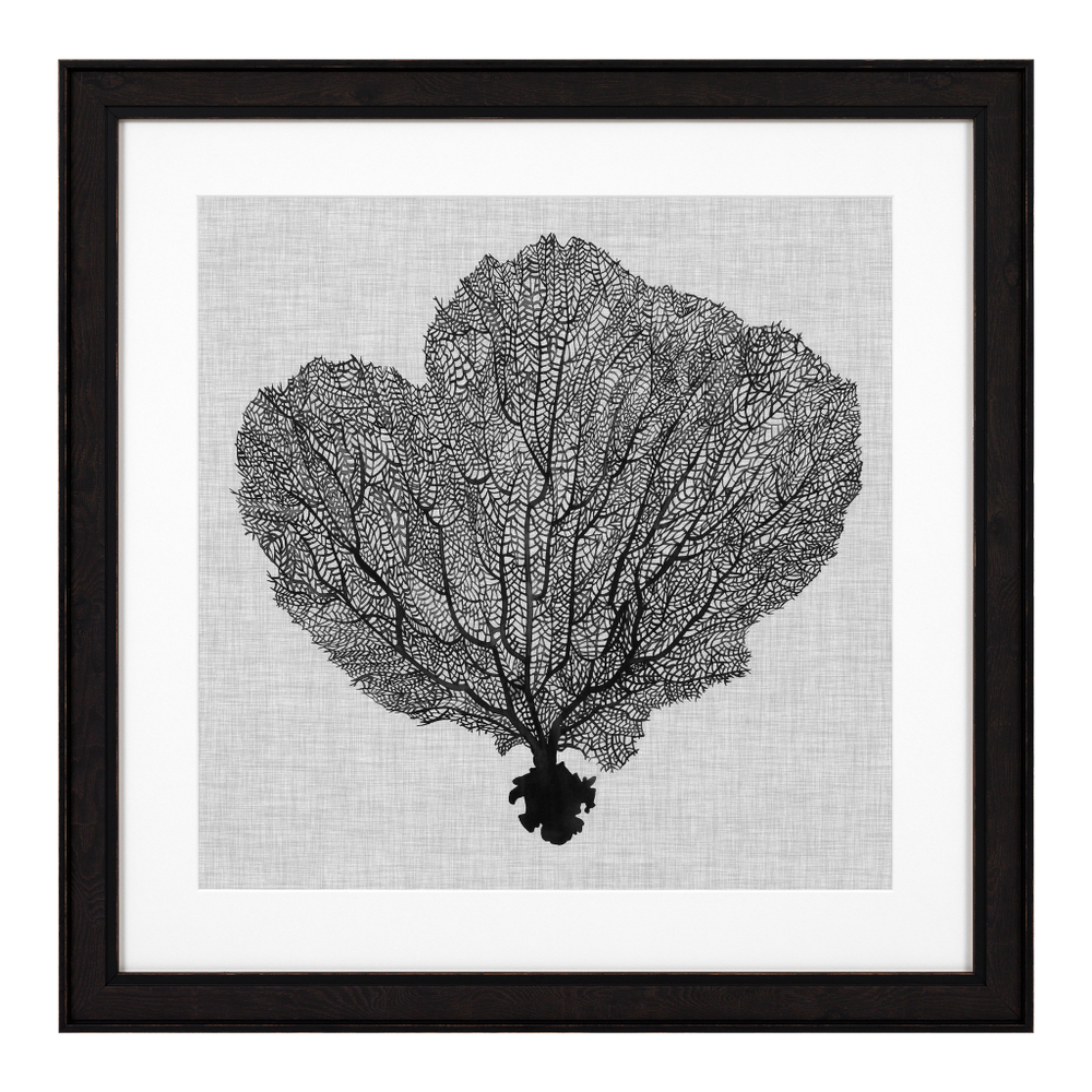 ПостерPrints Shadow Sea Fans set of 4 арт.112752