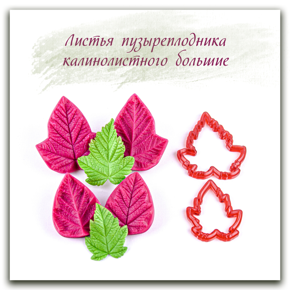 Листья пузыреплодника калинолистного большие