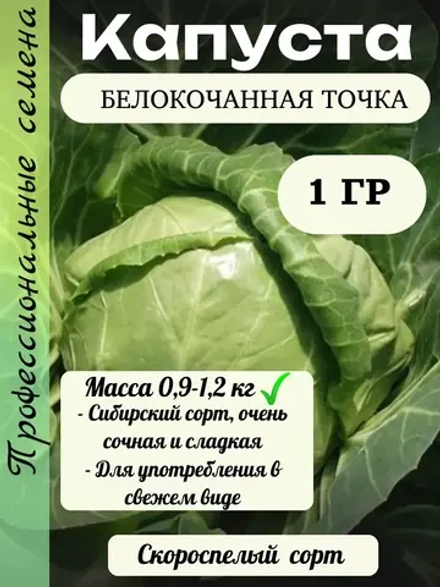 Семена капуста белокочанная Точка 1 гр