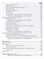 Анатомия человека