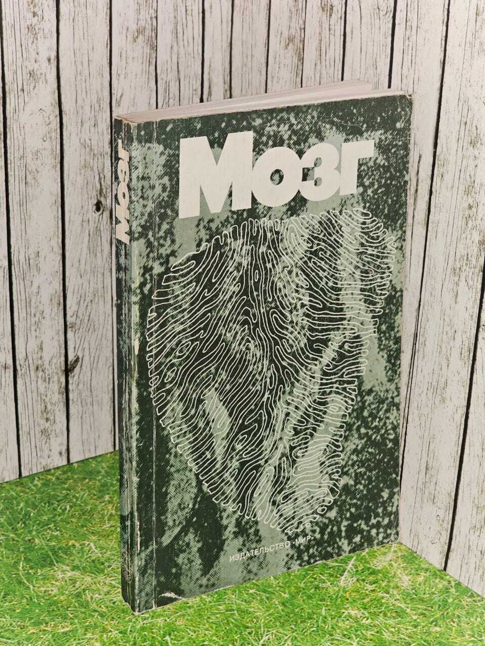 Мозг