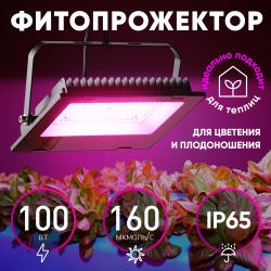 Фитопрожектор для растений светодиодный ЭРА FITO-100W-RB-LED для цветения и плодоношения красно-синего спектра 100 Вт | Фито прожекторы