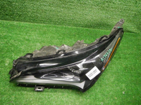 DSCN4619.JPG