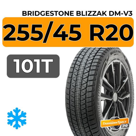 Bridgestone Blizzak DM-V3 255/45 R20 101T