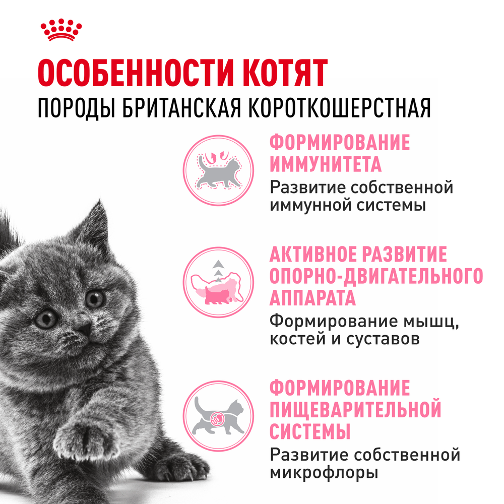Royal Canin British Shorthair Kitten Киттен Британская короткошерстная Корм сухой сбалансированный для британских котят 400г