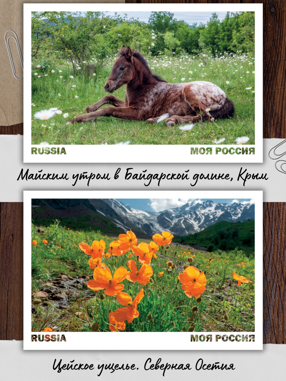 Моя Россия. Весна (выпуск №4, 2025)