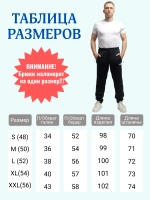 Брюки джоггеры спортивные трико на резинке прямые