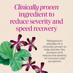 Nature's Way, Umcka®, Relief Fastactives®, простуда и грипп, пакетики с порошком, для детей от 6 лет, с ягодным вкусом, 10 пакетиков по 0,9 г (0,03 унции)