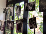 День рождения фотографа