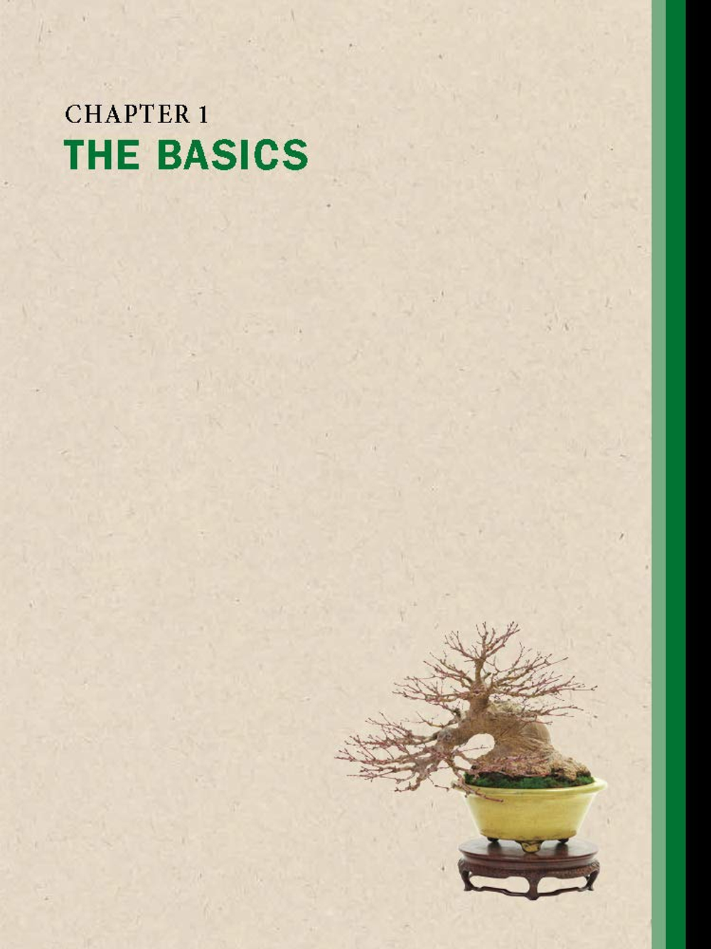 The Ultimate Bonsai Handbook: The Complete Guide for Beginners