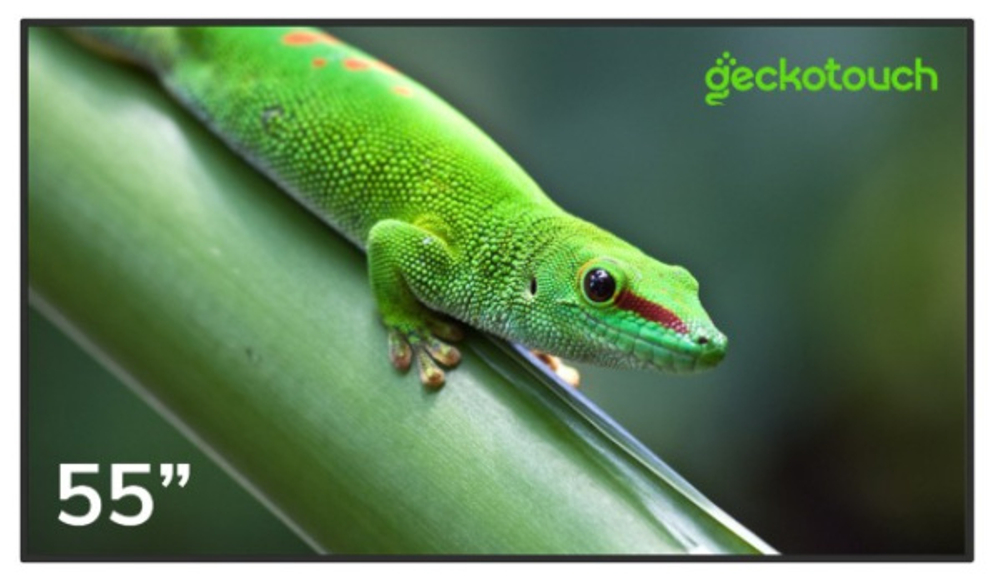 Панель Geckotouch 55DH