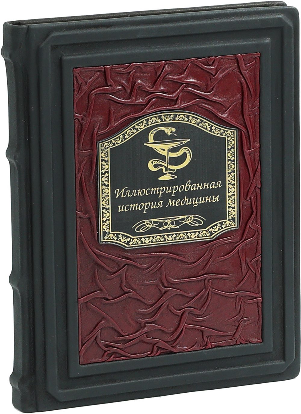Иллюстрированная история медицины