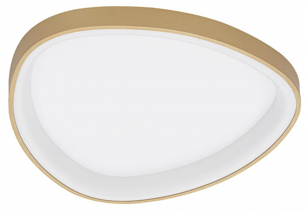 Накладной светильник Citilux GENKA SMART CL756A142