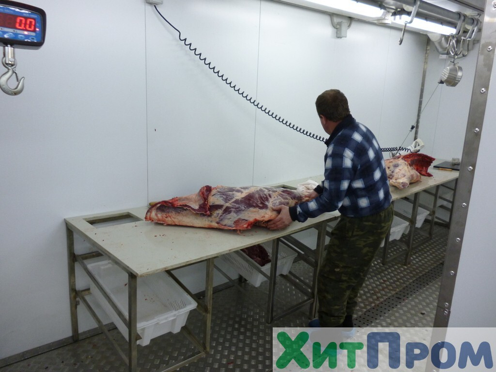 Комплекс убоя и переработки КРС до 20 голов/смена и МРС до 200 голов/смена. р. Татарстан