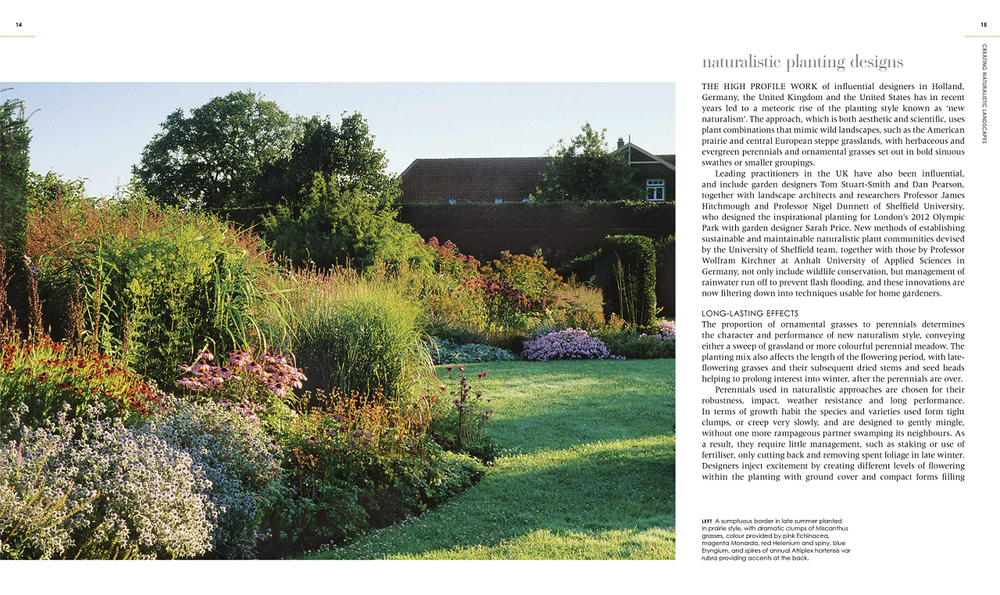 New Wild Garden: Natural-Style Planting and Practicalities