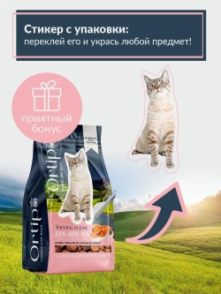 Кошки и коты Лосось, 6 кг Ortipo Сухой корм холистик