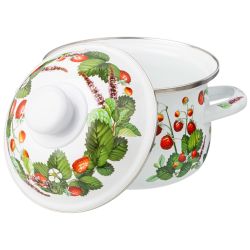 НАБОР КАСТРЮЛЬ AGNESS ЭМАЛИРОВАННЫХ СЕРИЯ "ФРУКТОВАЯ КОРЗИНА", 6ПР. 1,5/2,8/3,6Л,16Х10/20Х12/22Х13СМ